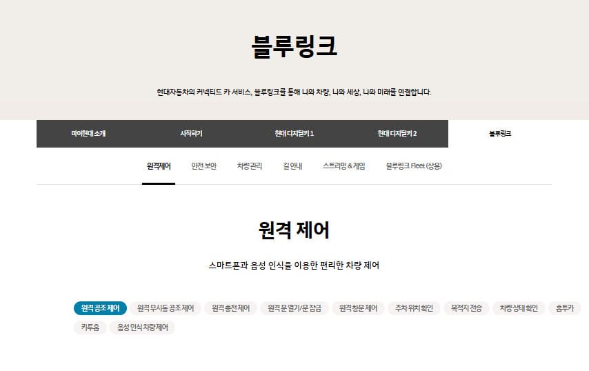 현대 블루링크 홈페이지 바로가기